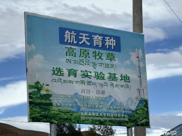 辉煌60年•我们的家园│行走在高原之上：触摸新时代幸福西藏的脉搏