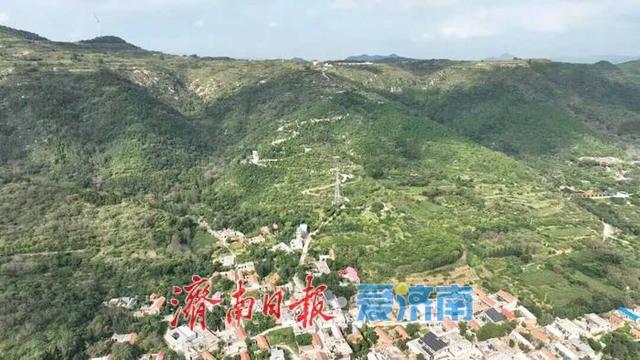 济南向西一小时|来张夏孔庄，摘软枣猕猴桃、赏山水人文、品庭院风味