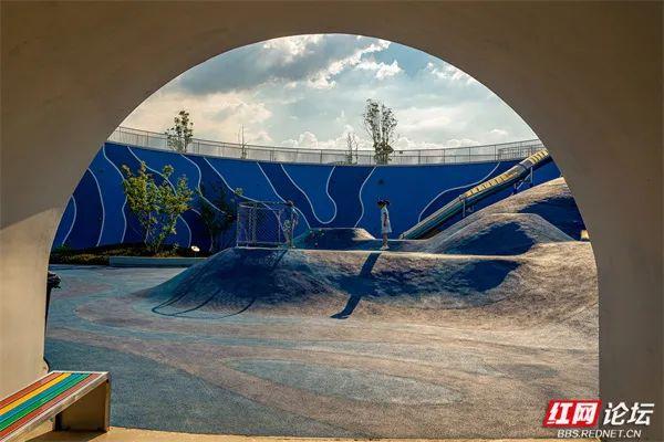 自然就在窗外！大泽湖近自然湿地公园：在城市客厅，邂逅羽翼天堂