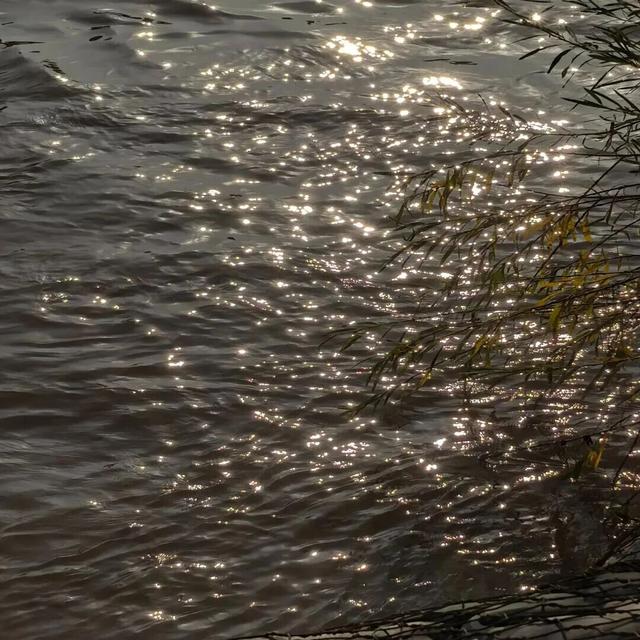 这些“微活瞬间”，是2025年的幸福具象