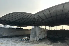“臭”名远扬？金山吕巷的这处奶牛养殖场恶臭熏天让村民受不了图片