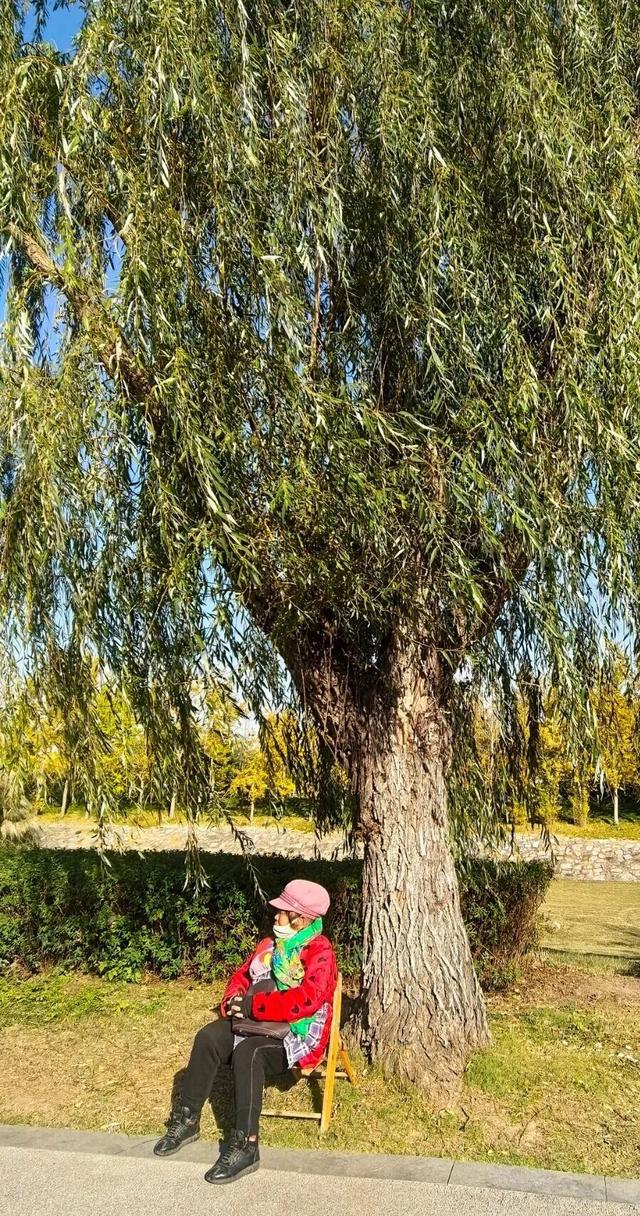 @高邮人 邀请您找寻心中的……