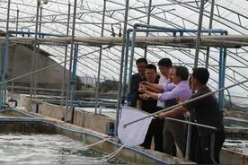 珍珠龙胆石斑鱼成功入住盐碱戈壁图片