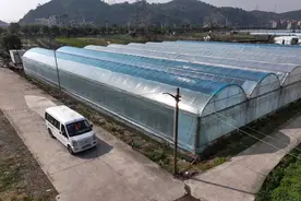 从“谋生”到“谋幸福”，多多买菜让他们在小镇活成人生赢家图片