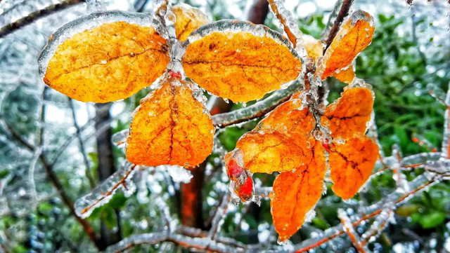 冬至丨解锁桂林的多彩冬天！