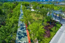 繁花相拥 绿树环绕 西安高新区赴春日之约展城区新貌图片