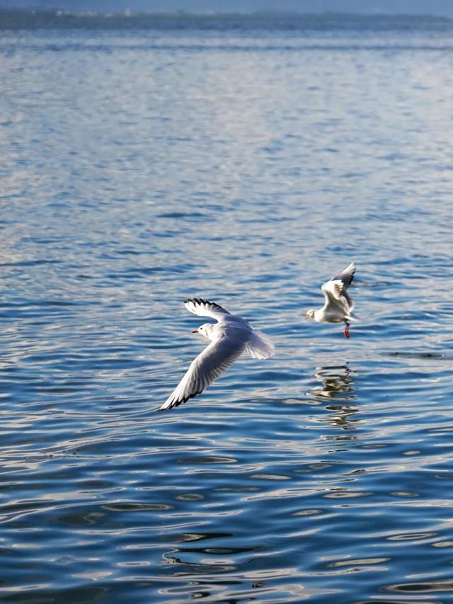 看，此刻的大理！