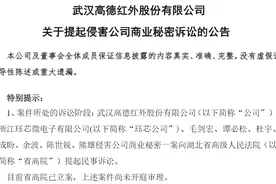 损失最保守估计2亿元！高德红外起诉六名前员工图片