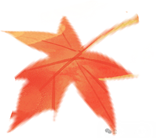 沽源县文化广电旅游和体育局赴上海参与第十五届上海湾区滬之源·海渔文化节及后续系列活动
