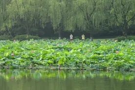 大雨暴雨为何一直笼罩浙中南？明起梅雨转向浙中北图片