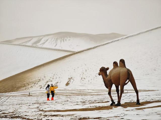 自然观察 | 鸣沙山月牙泉迎来初雪！沙与雪的秘境私语，美到心醉