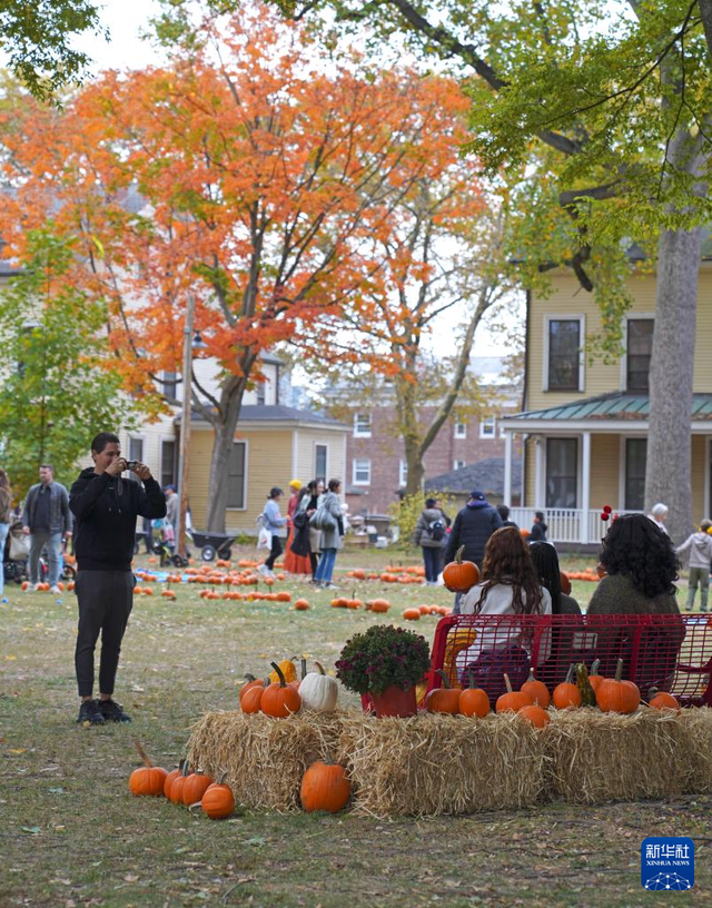 纽约秋日节吸引游人