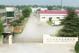 军岗在线丨潍坊美城食品有限公司图片