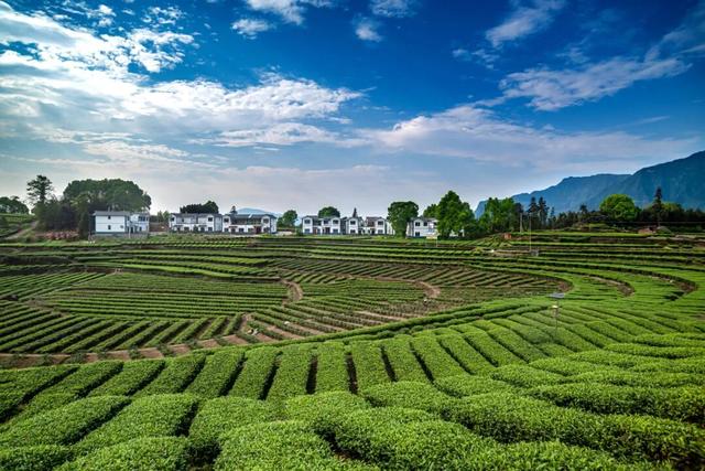 四川最受欢迎网红打卡地——叙永红岩村上榜