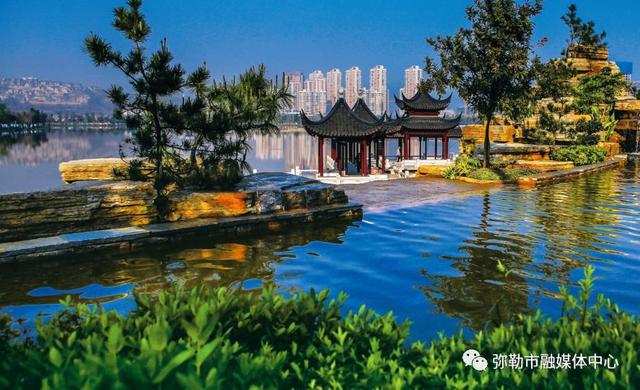 弥勒人被夸了！友好、耐心、善良、态度好...