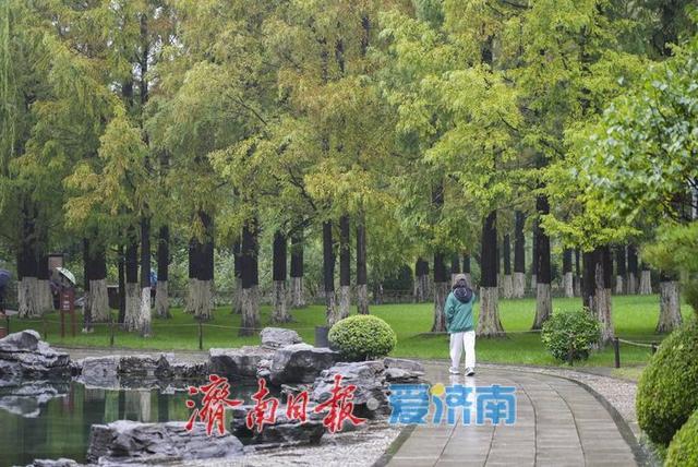 一年四季 泉在济南丨烟雨济南好似一幅水墨长卷