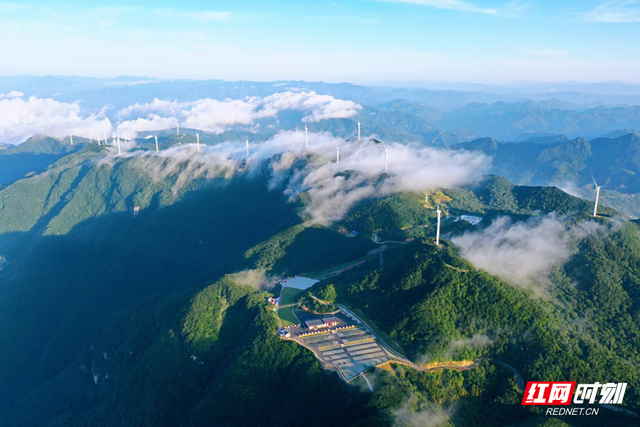 文旅招商聚长沙 康养保康送清凉