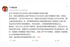 孕妇动车上被行李箱砸中致早产？官方通报详情图片