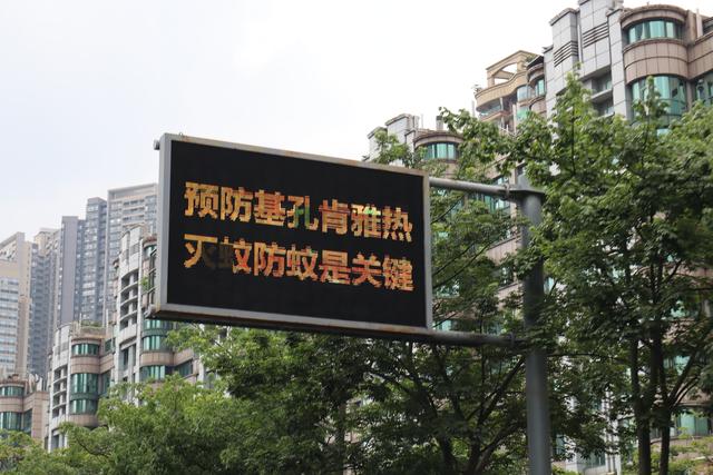 实探基孔肯雅热三级响应镇