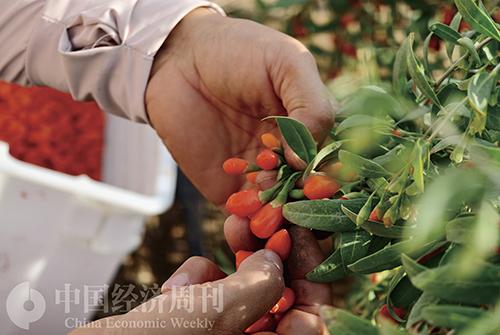 沿着高速看新疆