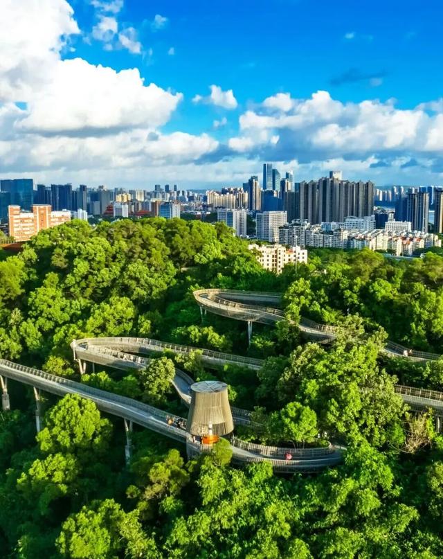 这个假期，来福州解锁“松弛感”
