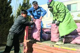 八方驰援暖高原 众志成城克时难 ——全国各地各界力量支援地震灾区图片