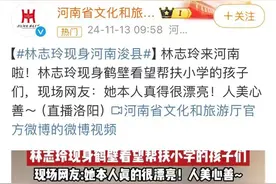 林志玲现身河南一小学，捐款60万！图片