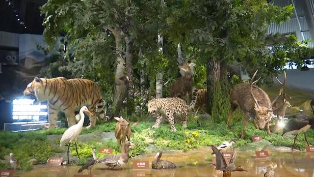 生态绘新卷 各地绘就绿色发展好风光