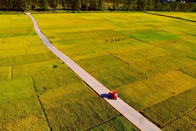 朱提文苑 | 深秋桃源坝 稻香悟初心