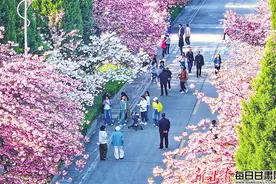 【视觉】人间四月天 花开正当时图片