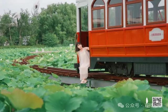 音乐节、星空露营、啤酒嘉年华......日照一大波文旅活动来袭！