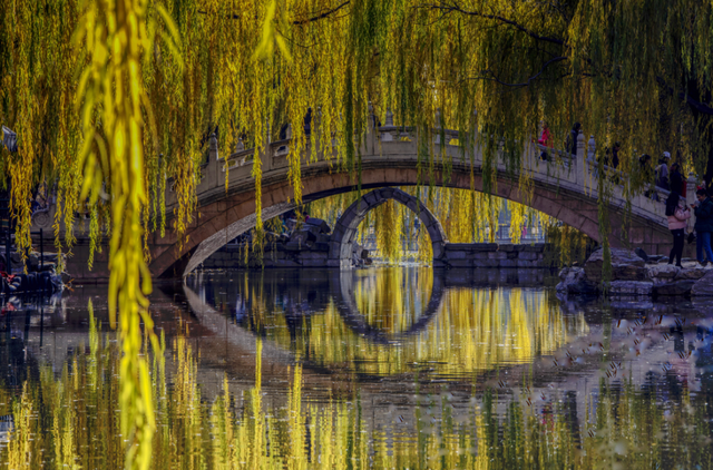 在圆明园看一片颠倒的世界