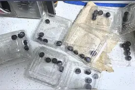 评论丨直播间购8盒蓝莓到手每盒仅几颗，谁是作恶者该有个说法图片