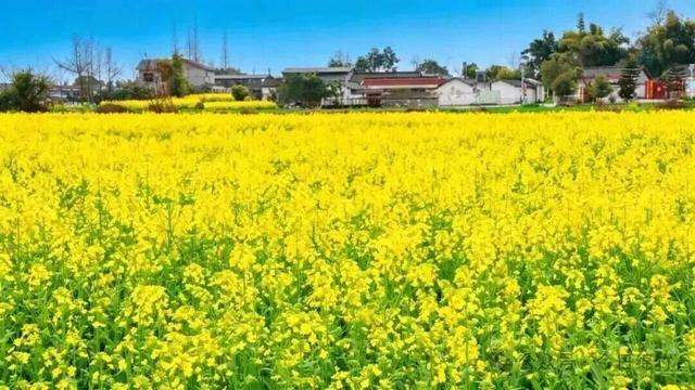 今天起，德阳将有一个新名字！