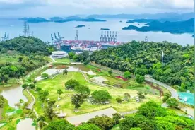 天鹅惊艳，鸿雁安家！梧桐山国家森林公园恩上湿地“美丽”焕新图片