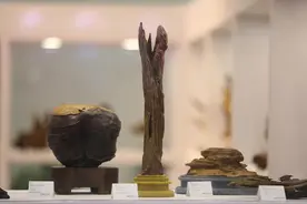 7638万成交额！全国首届野生沉香专场拍卖会圆满落幕图片