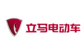 最新电动自行车召回！涉及立马、绿佳、立箭等图片