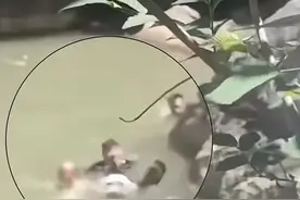 3次潜入深潭救人！“00后”小伙陈耀，好样的！图片