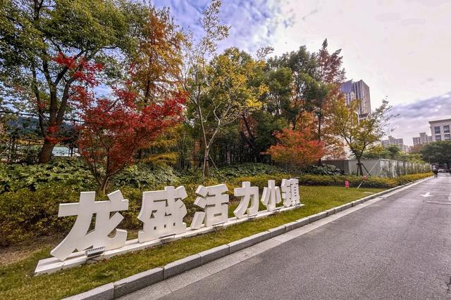 别再等！宝山这里已把秋日色阶拉满