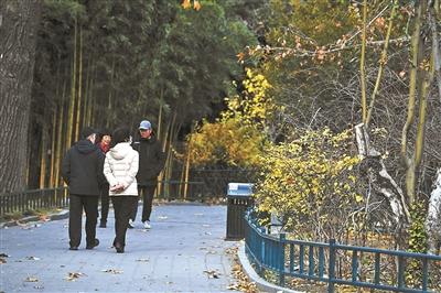 北京多维度发力增加“赏秋+”内涵 科技创新助力北京秋天“慢下来”