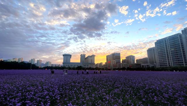 组图丨武威市政广场人如织景如画