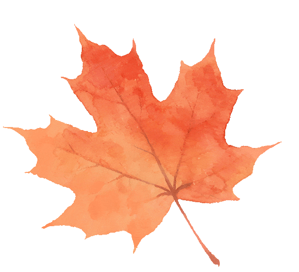 超美打卡攻略来啦！秋染道前街，追寻林则徐苏州印记