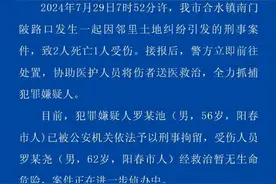 邻里纠纷致2死1伤！广东阳春警方通报：犯罪嫌疑人已被刑拘图片