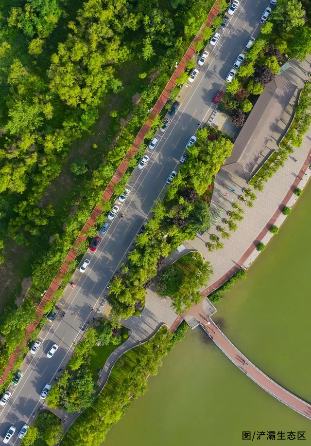 西安冬季观鸟指南 赴一场“飞羽之约”