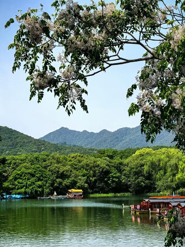 晚潮｜邀山揖湖：四季繁花与千年山水