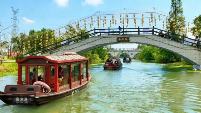 知识+100，快乐+100