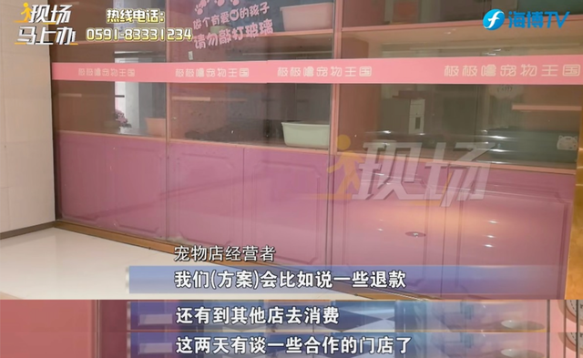 宠物店连夜关门，店内还有猫狗无人照顾？