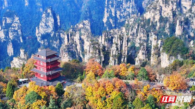 组图丨张家界国家森林公园漫山彩叶醉游人