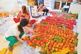 “桃”出困境 一场龙泉驿水蜜桃的品种保卫战图片