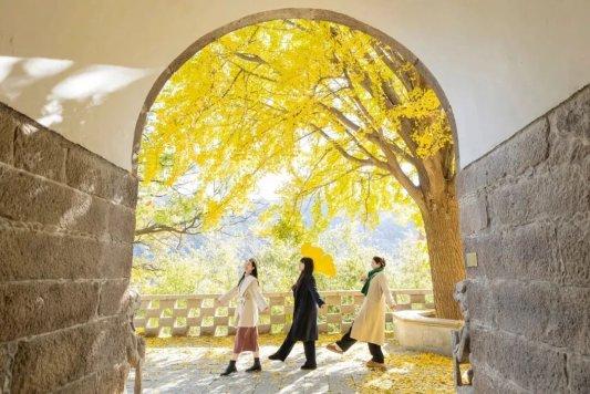 畅游青岛 文明相伴｜2025崂山赏秋地图发布，秋韵“大片”绝美上映！